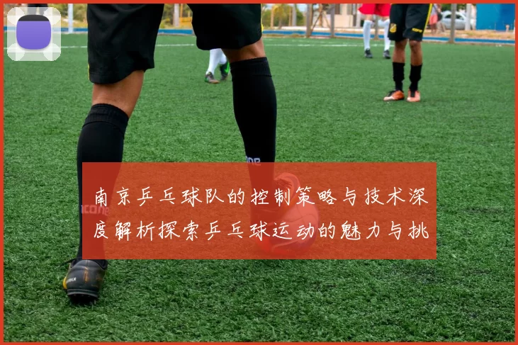 南京乒乓球队的控制策略与技术深度解析探索乒乓球运动的魅力与挑战