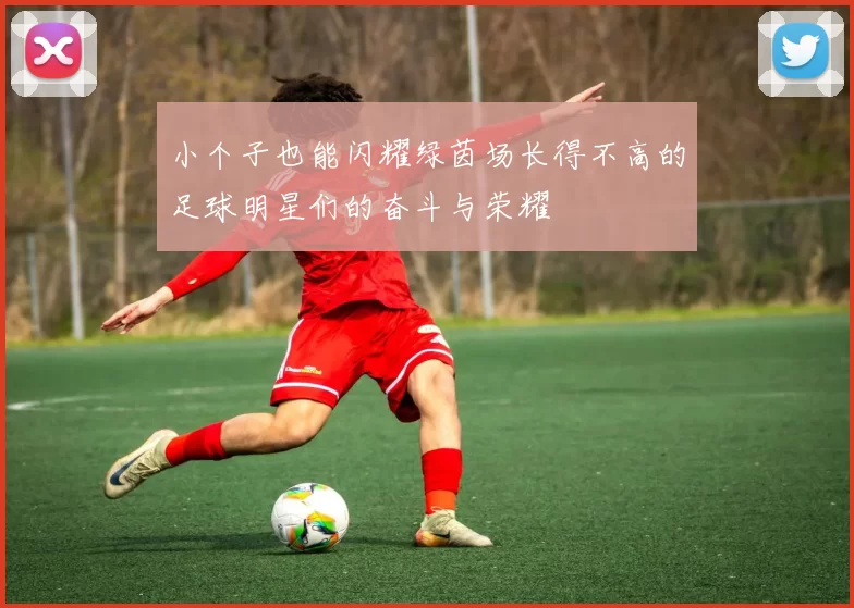 小个子也能闪耀绿茵场长得不高的足球明星们的奋斗与荣耀
