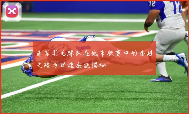 南京羽毛球队在城市联赛中的奋进之路与辉煌成就揭秘