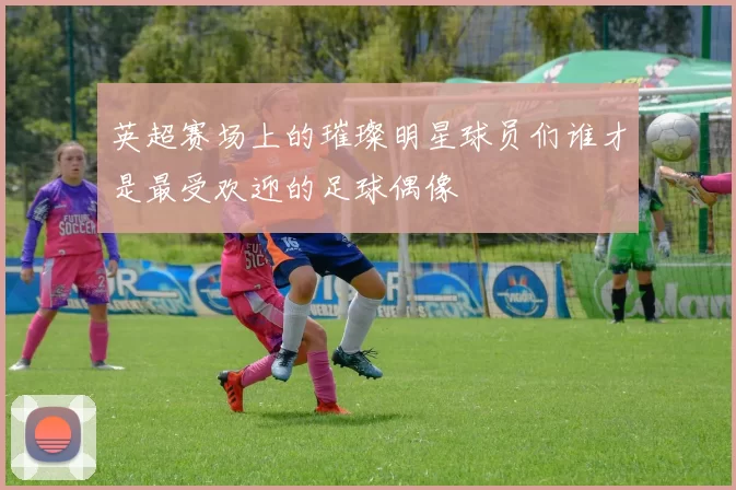 英超赛场上的璀璨明星球员们谁才是最受欢迎的足球偶像