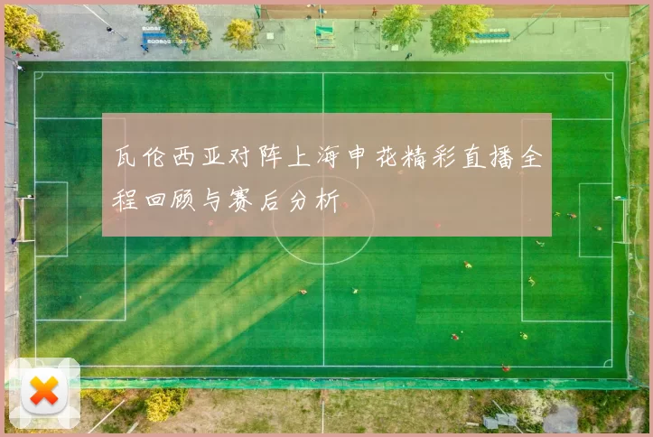 瓦伦西亚对阵上海申花精彩直播全程回顾与赛后分析