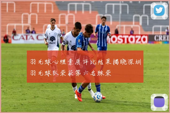 羽毛球心理素质评比结果揭晓深圳羽毛球队荣获第六名殊荣