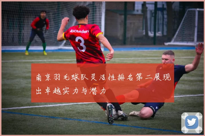 南京羽毛球队灵活性排名第二展现出卓越实力与潜力