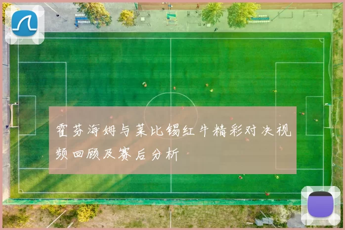 霍芬海姆与莱比锡红牛精彩对决视频回顾及赛后分析