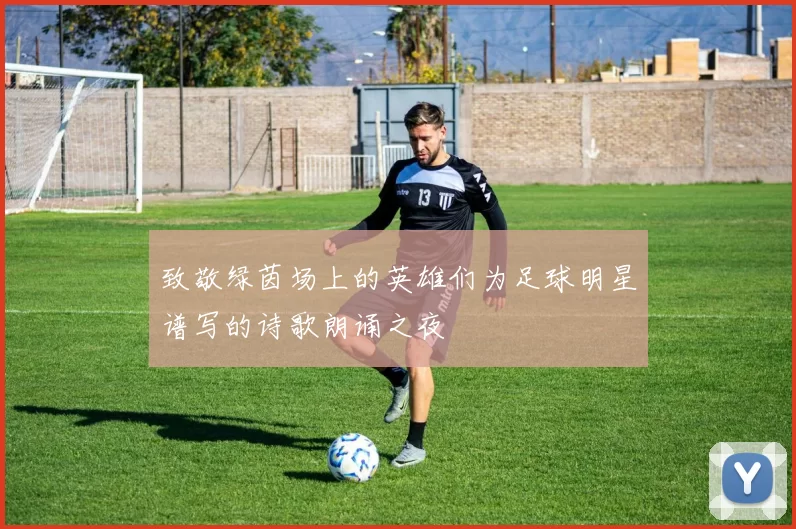 致敬绿茵场上的英雄们为足球明星谱写的诗歌朗诵之夜