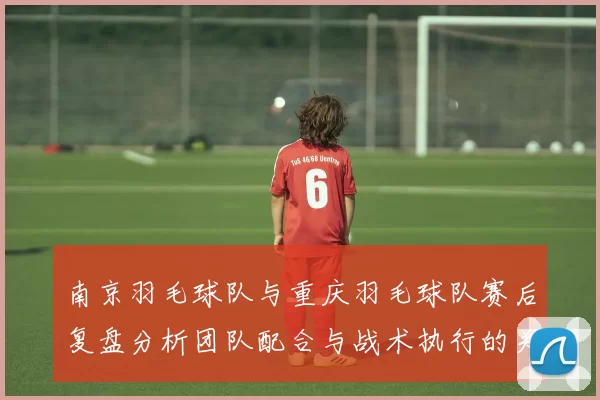 南京羽毛球队与重庆羽毛球队赛后复盘分析团队配合与战术执行的关键因素