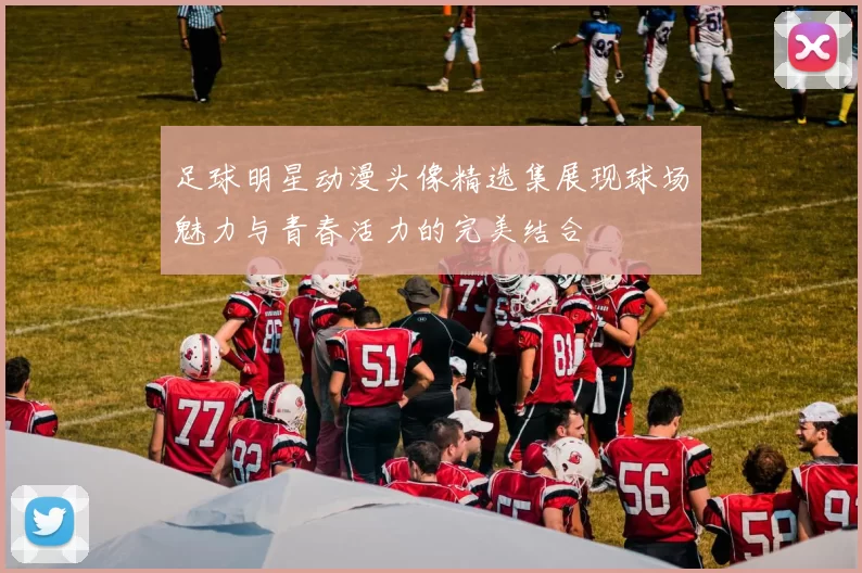 足球明星动漫头像精选集展现球场魅力与青春活力的完美结合