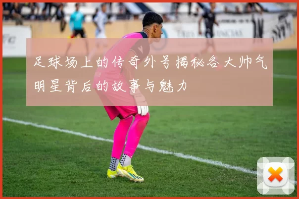 足球场上的传奇外号揭秘各大帅气明星背后的故事与魅力