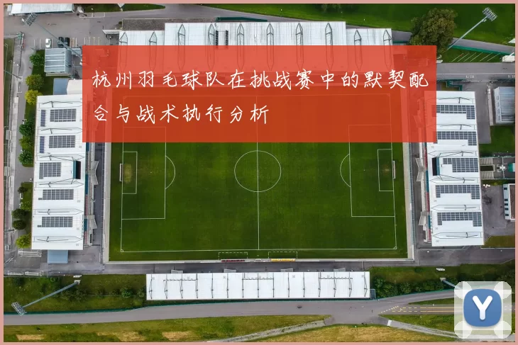 杭州羽毛球队在挑战赛中的默契配合与战术执行分析