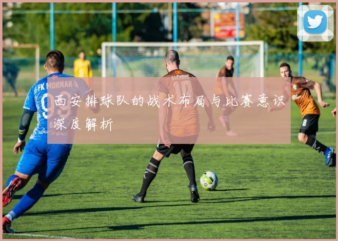 西安排球队的战术布局与比赛意识深度解析