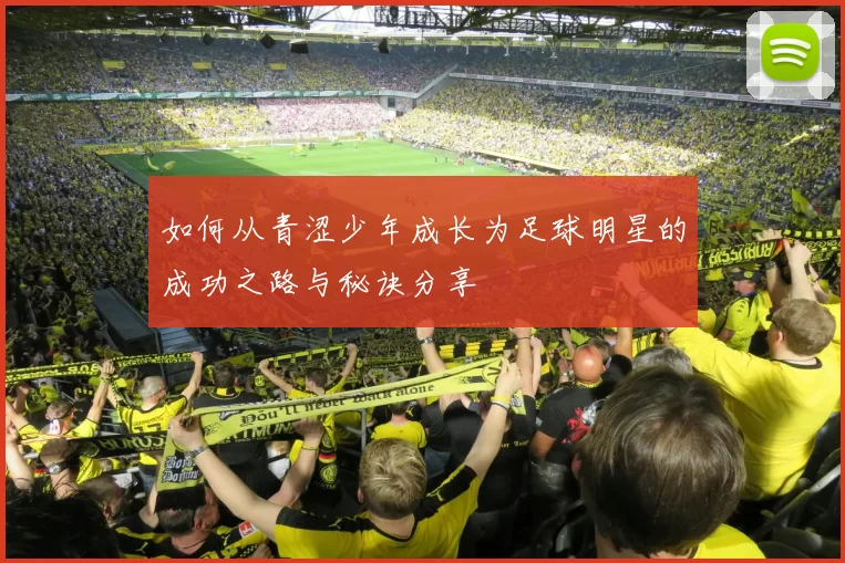 如何从青涩少年成长为足球明星的成功之路与秘诀分享