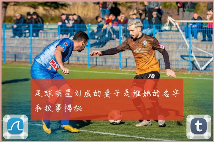 足球明星刘成的妻子是谁她的名字和故事揭秘