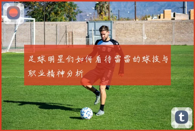 足球明星们如何看待雷雷的球技与职业精神分析