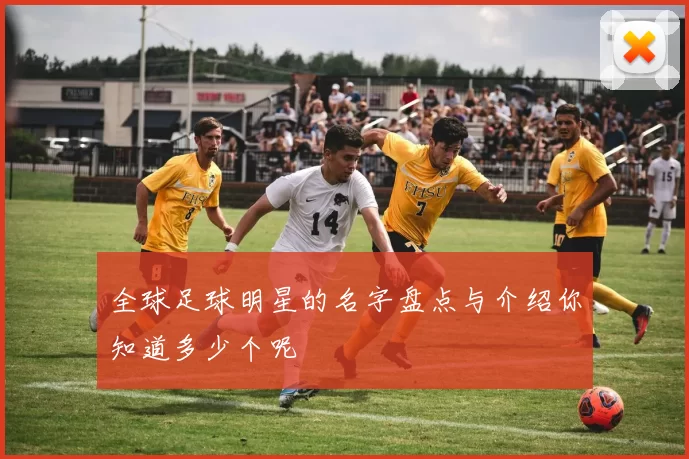 全球足球明星的名字盘点与介绍你知道多少个呢