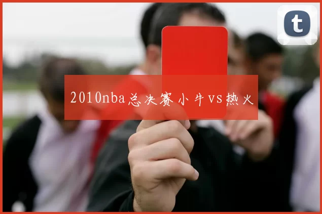 2010nba总决赛小牛vs热火