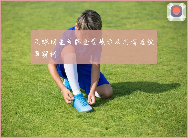 足球明星号牌全景展示及其背后故事解析
