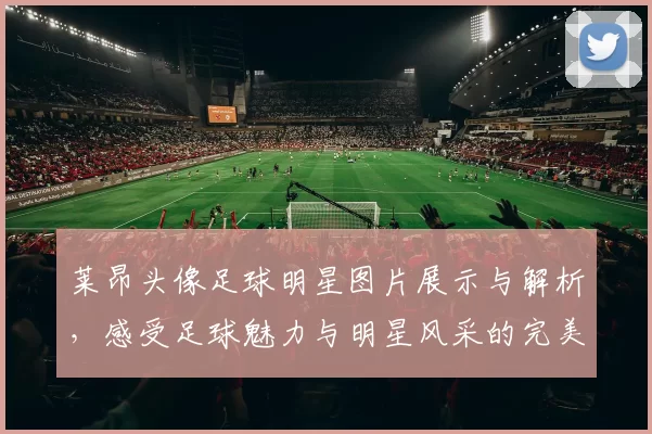 莱昂头像足球明星图片展示与解析，感受足球魅力与明星风采的完美结合