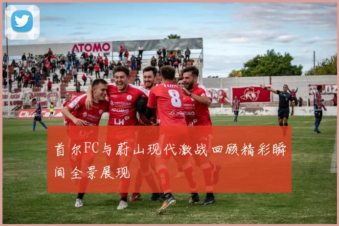 首尔FC与蔚山现代激战回顾精彩瞬间全景展现