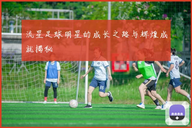 流星足球明星的成长之路与辉煌成就揭秘